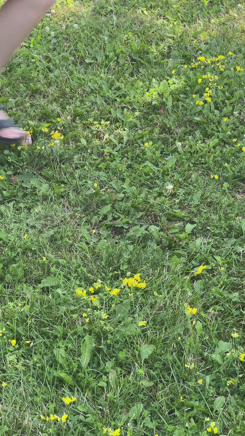 A person sets their gym bag down on grass and begin unpacking contents. Among various sports accessories, there is also a box of MadeGood Vanilla Crispy Squares